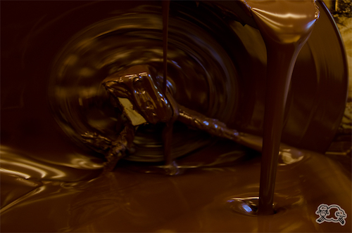 Bild aus der Produktion Blick in die Zarbitter-Schokoladen-Gießmaschine