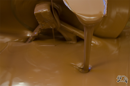 Bild aus der Produktion Blick in die Vollmilch-Schokoladen-Gießmaschine
